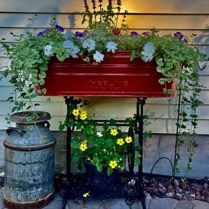 Meet your Posher, Denise